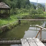 гiрська роса 3*