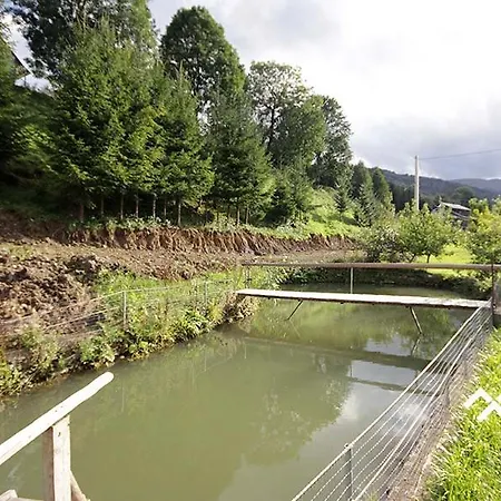 гiрська роса 3*